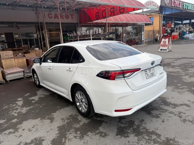 Toyota Corolla-4