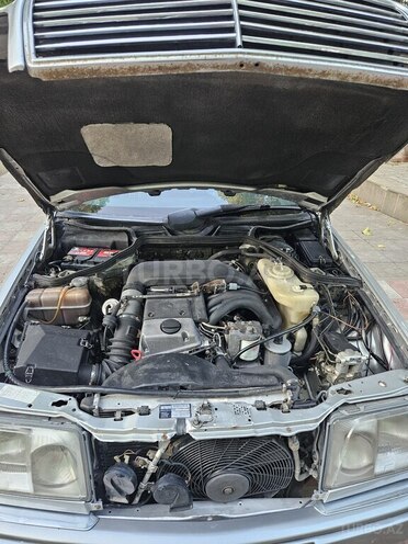 Mercedes 250 D-10