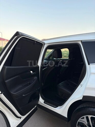 Hyundai Santa Fe-14