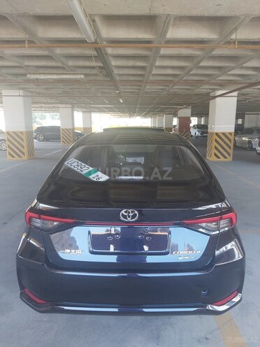 Toyota Corolla-6