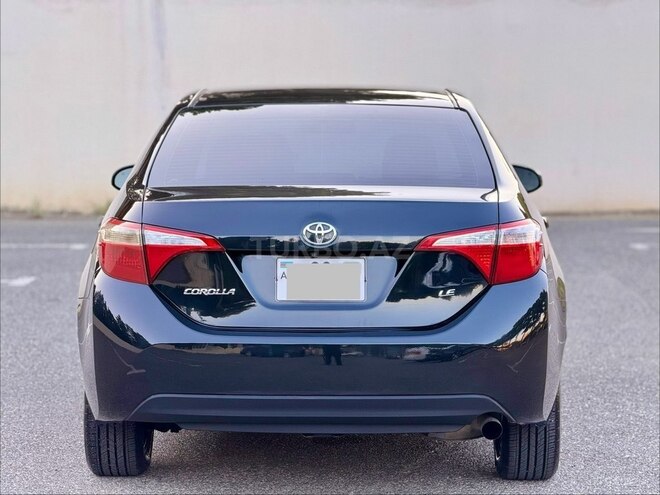 Toyota Corolla-4