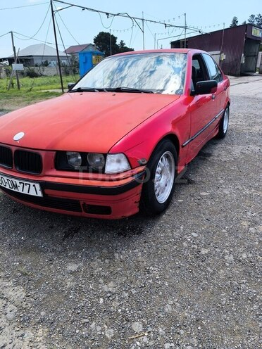 BMW 316-1