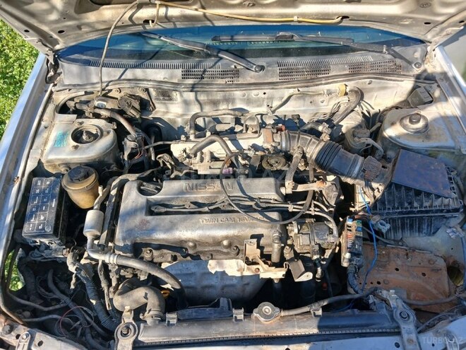 Nissan Primera-7