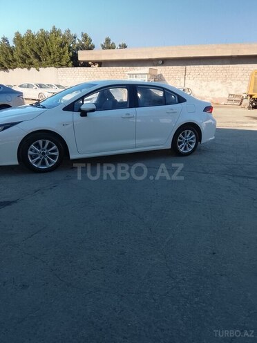 Toyota Corolla-4