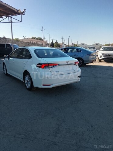 Toyota Corolla-6
