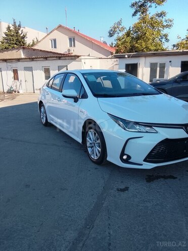 Toyota Corolla-8