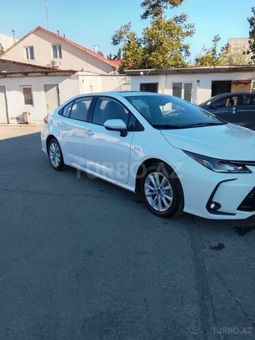 Toyota Corolla-9