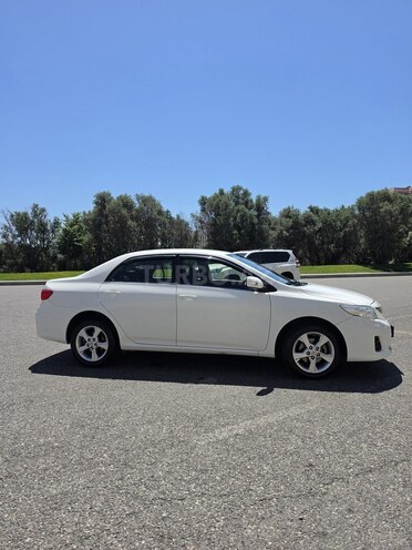 Toyota Corolla-6
