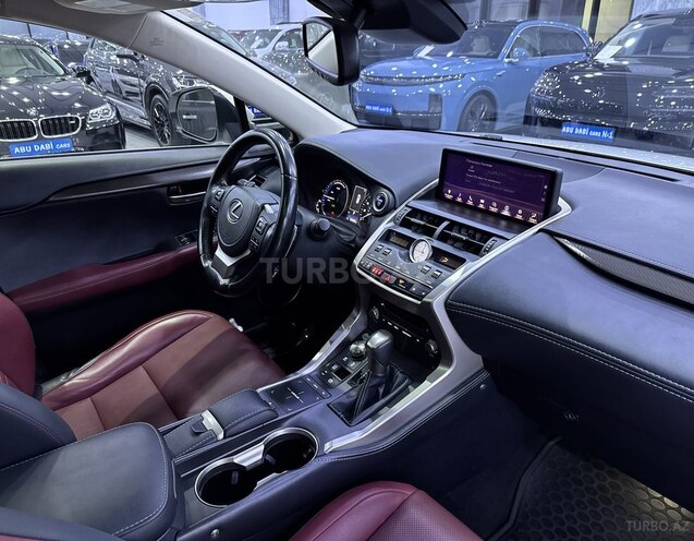 Lexus NX 300h-10