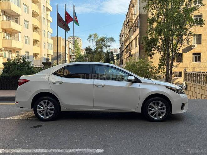Toyota Corolla-12