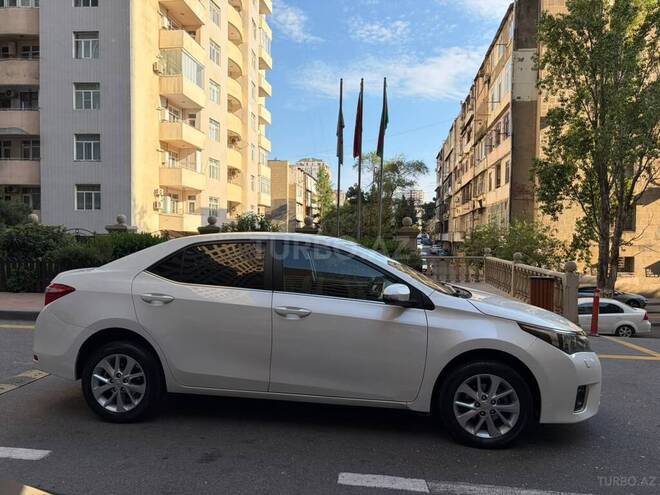 Toyota Corolla-20