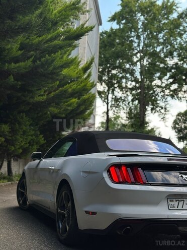 Ford Mustang-2