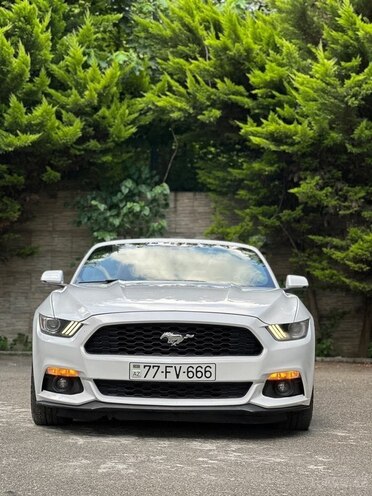 Ford Mustang-15