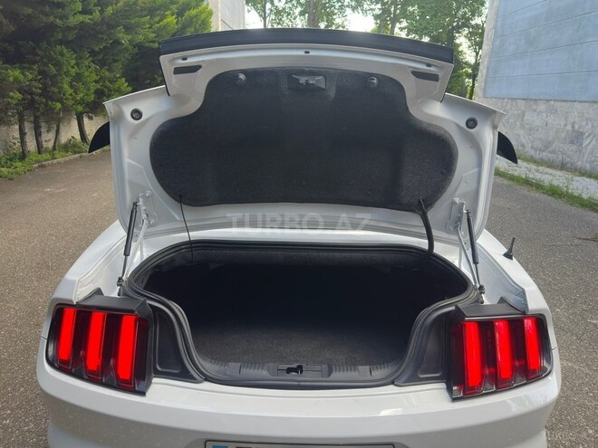 Ford Mustang-13