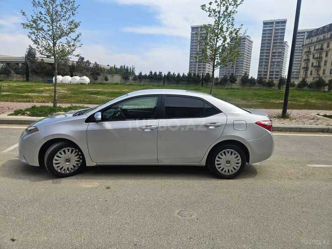 Toyota Corolla-14