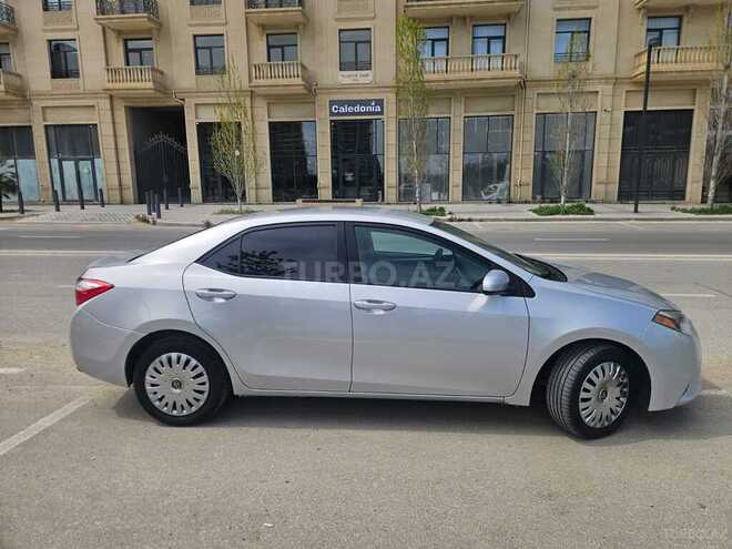 Toyota Corolla-7