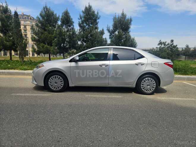 Toyota Corolla-6