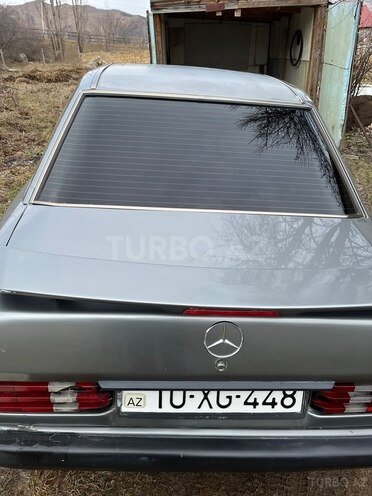 Mercedes 190-10