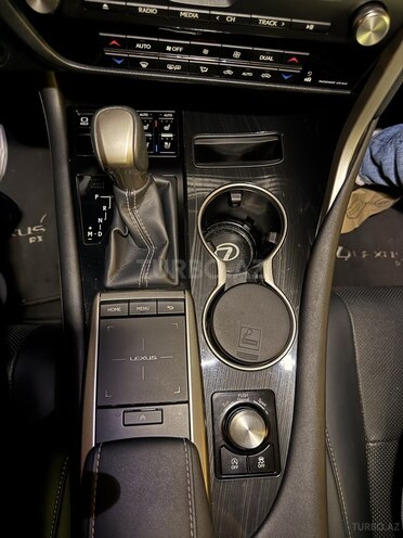 Lexus RX 300-17