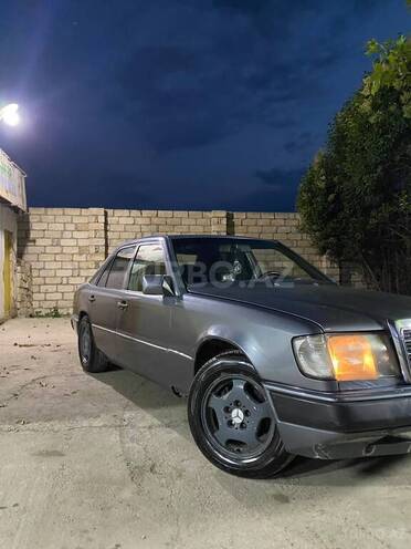 Mercedes 250 D-2