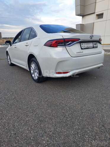 Toyota Corolla-6