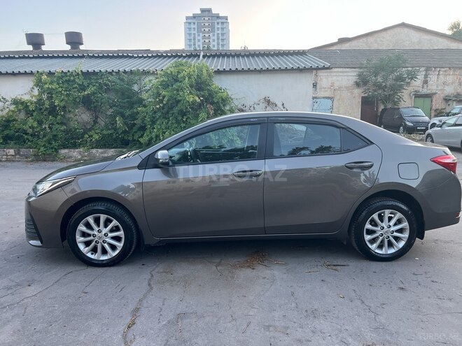 Toyota Corolla-10