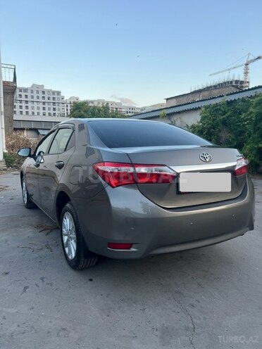 Toyota Corolla-6