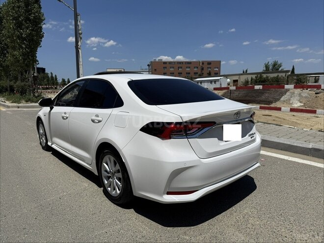 Toyota Corolla-6