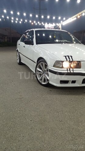 BMW 316-11