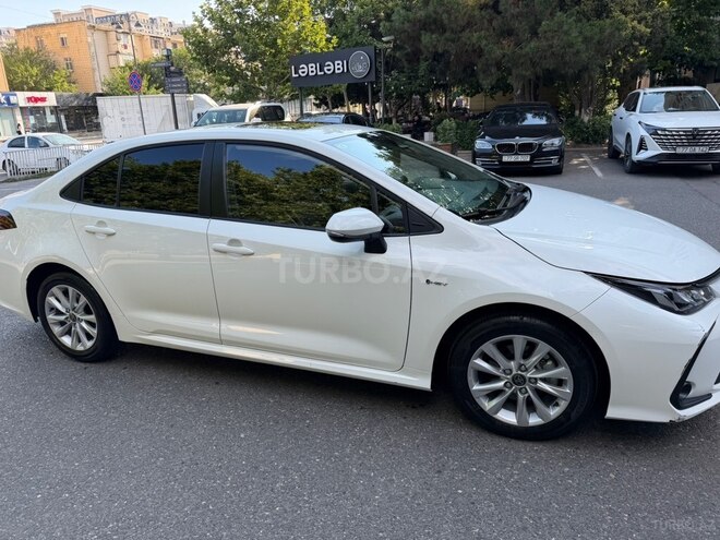 Toyota Corolla-7