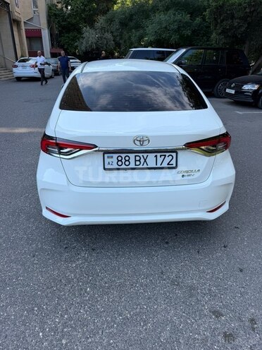 Toyota Corolla-8