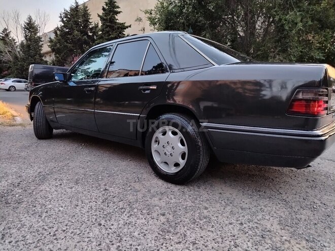 Mercedes 250 D-8