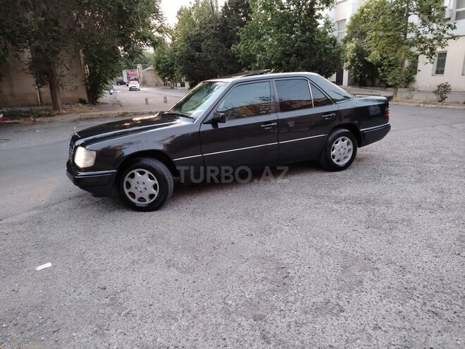 Mercedes 250 D-9