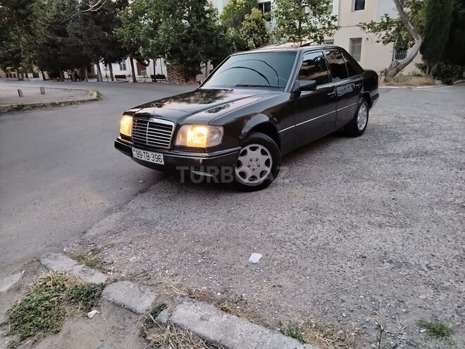 Mercedes 250 D-10