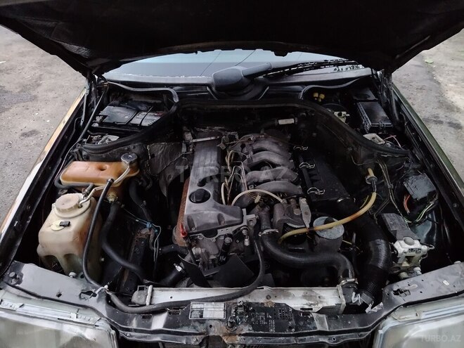 Mercedes 250 D-16