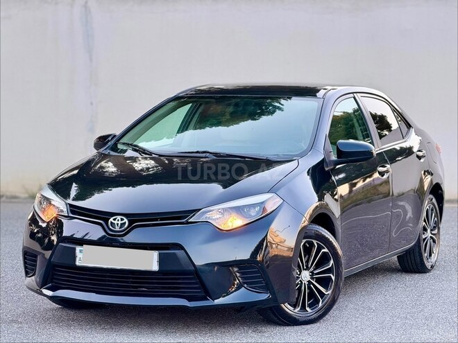 Toyota Corolla-8