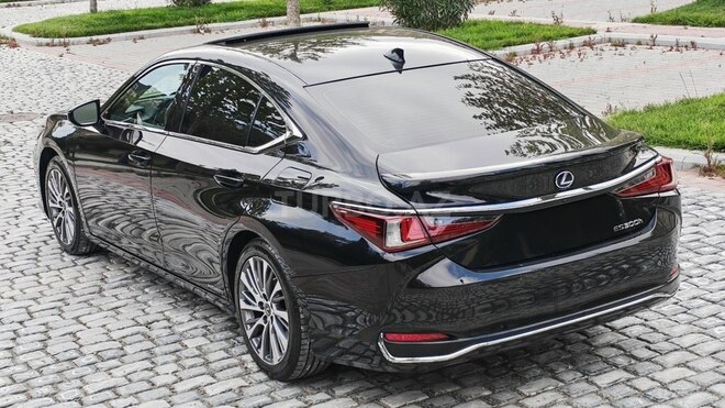 Lexus ES 300h-9