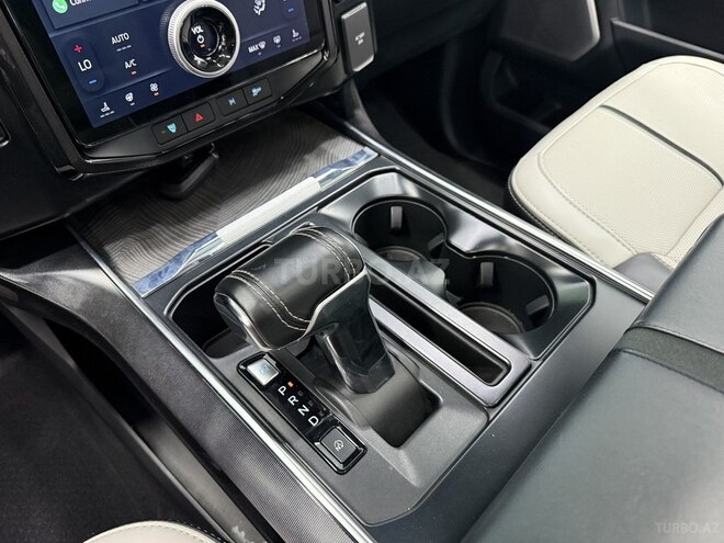 Ford F-150-12