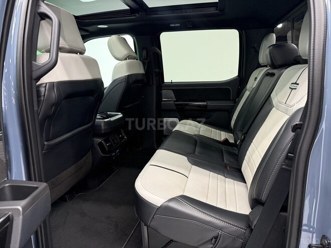Ford F-150-11