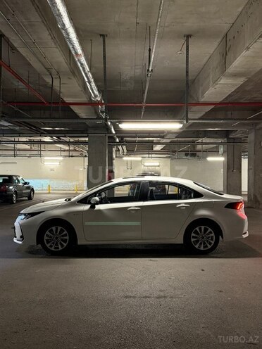 Toyota Corolla-4