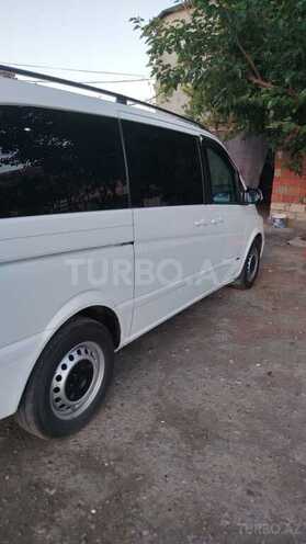 Mercedes Viano-2