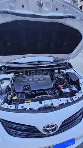 Toyota Corolla-15