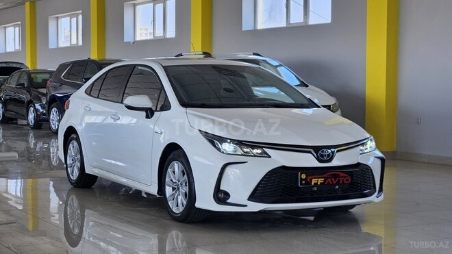 Toyota Corolla-4