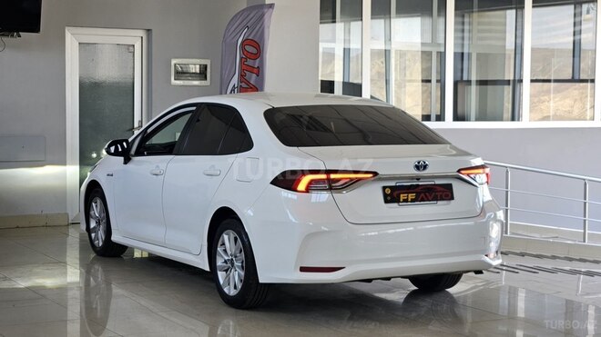 Toyota Corolla-8