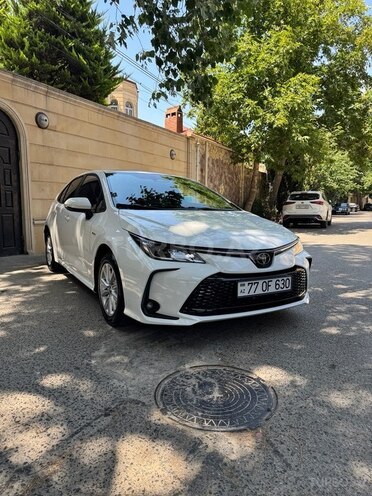 Toyota Corolla-2