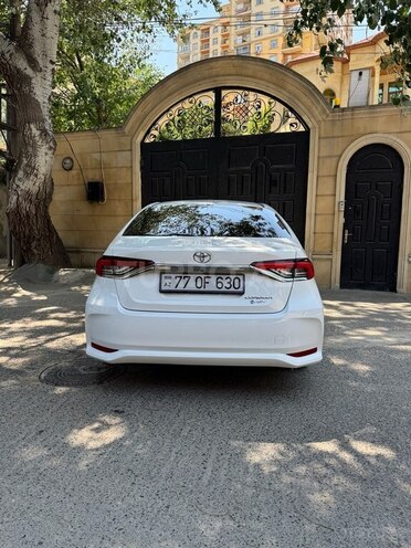 Toyota Corolla-4