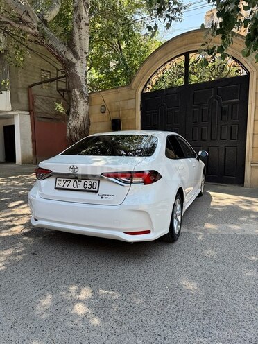 Toyota Corolla-6
