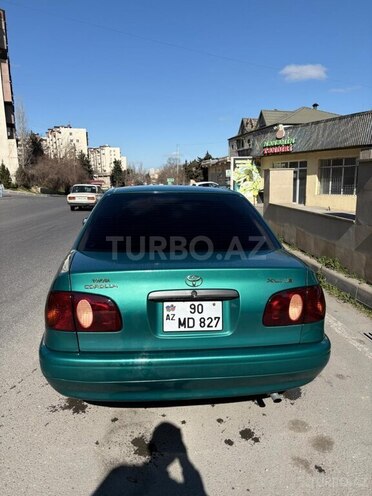 Toyota Corolla-6