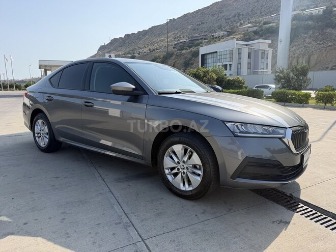 Skoda Octavia 2023, 62,000 km - 1.6 л - Bakı