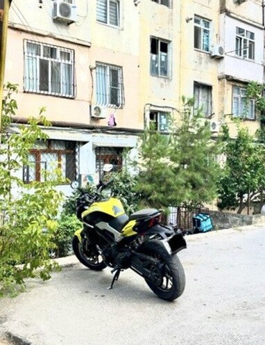 Bajaj Dominar 250 2024, 55,000 km - 0.3 l - Bakı